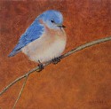 Kelly Leahy Radding, Eastern Bluebird 
Songbird Series #2
gouache & oil on cradled panel