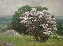 Allen Butler Talcott, Spring Blossoms
oil on panel