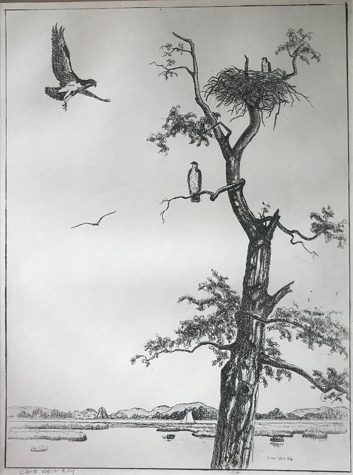 Caro(lyn) Alden  Weir Ely, Ospreys
etching on paper, 11 3/8" x 8 1/2"
pencil signed Caro Weir Ely, lower left
JWC 0119.24
$300