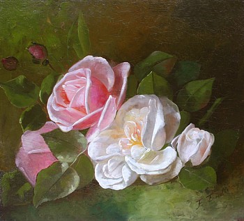 flowers: Frederick M. Fenetti Two Roses