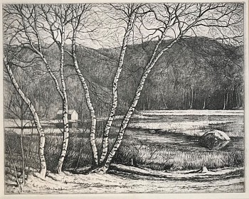 prints/drawings: Platt Hubbard Birches