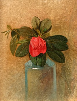 still life: James Morgan Lewin