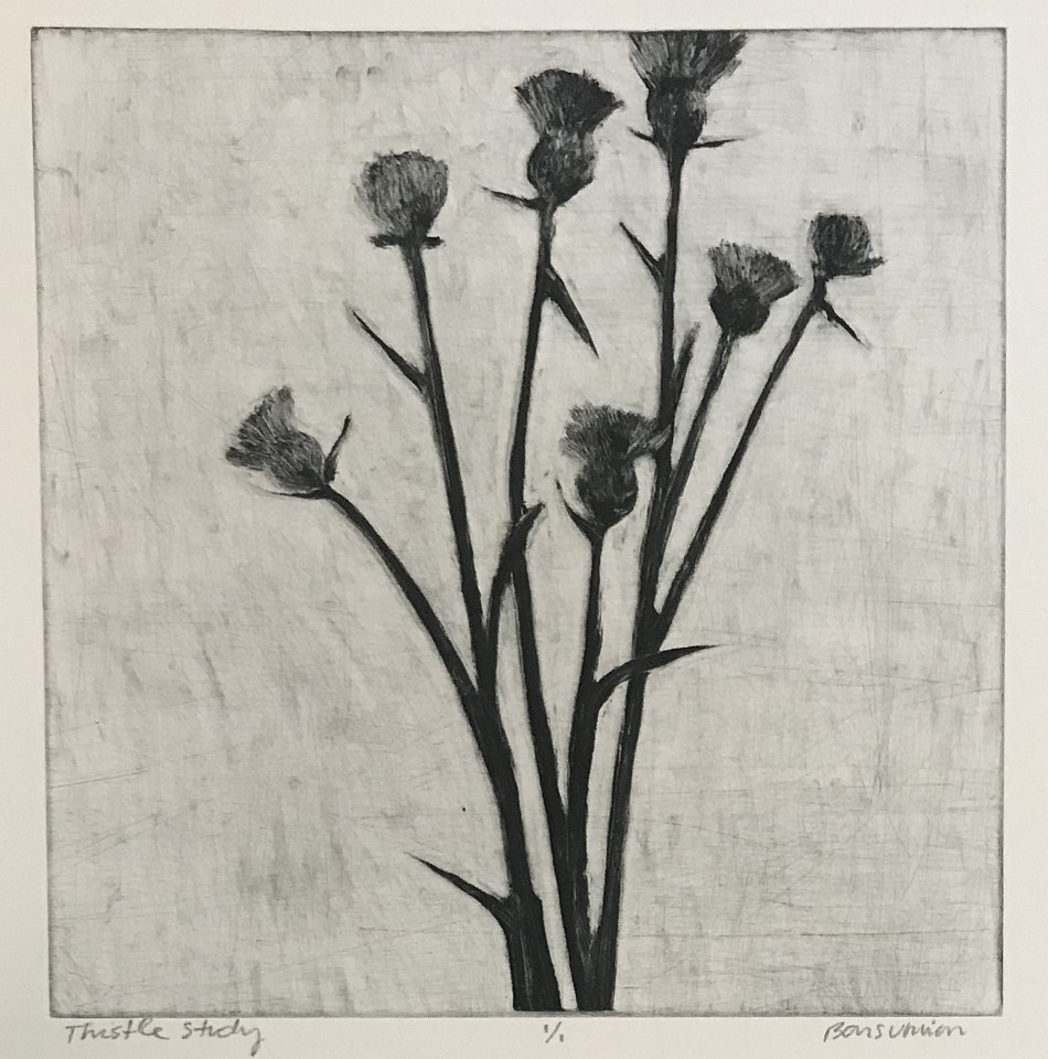 Lisa Barsumian, Thistle Study II
monotype on rag paper, 18" x 15"
sigend lower right
LB 1119.06
$900