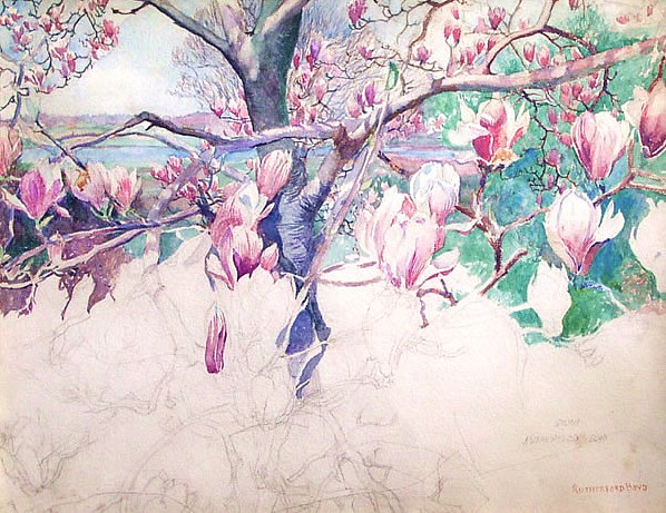 (John) Rutherford Boyd, Study of Magnolias
watercolor on paper, 11"" x 14""
JCA 3983
$2,500