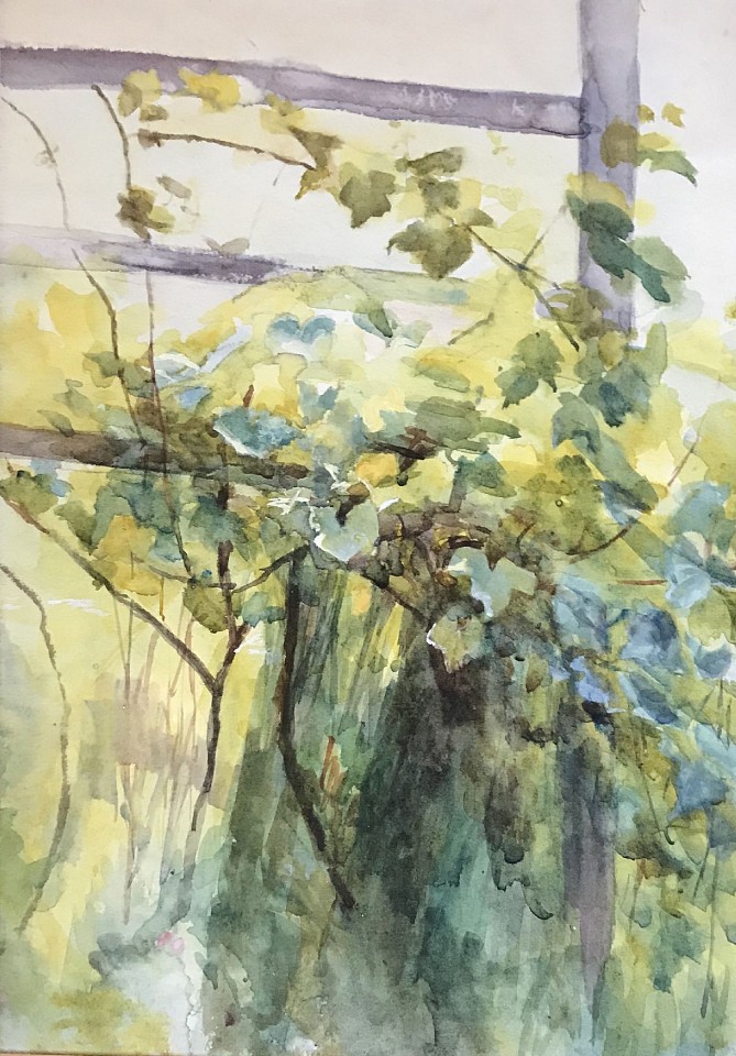Anna Mariah Brown, Grapevines on an Arbor
watercolor on paper, 13 1/4"" x 9 1/4"" ss
JCA 5586.03
$600