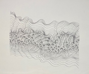 Sewell Sillman - Squiggly Lines