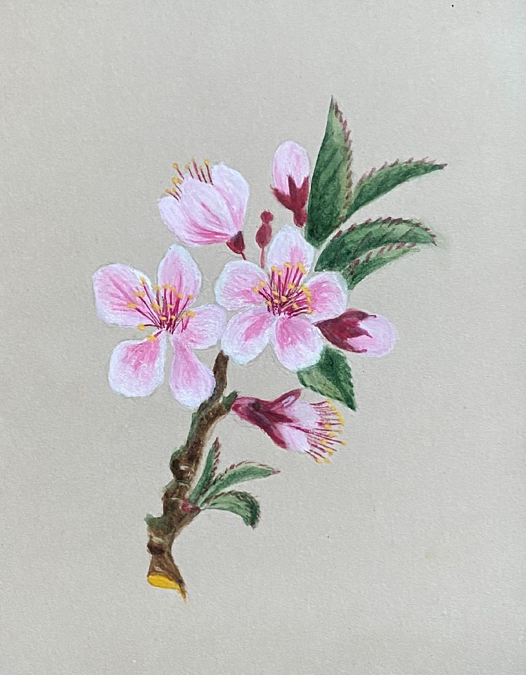 American School, Apple Blossoms
watercolor and gouache on paper, 4 3/4"" x 3 7/8""
JCA 6551.01
$300