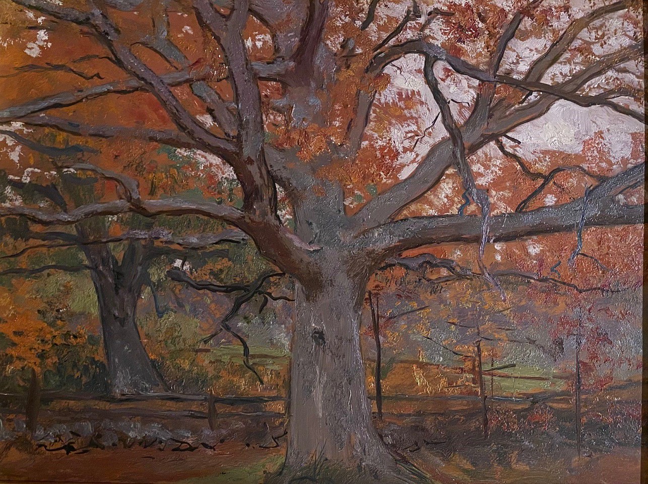 Allen Butler Talcott, Autumn Maple
oil on panel, 12"" x 16""
ABT 23
$4,000