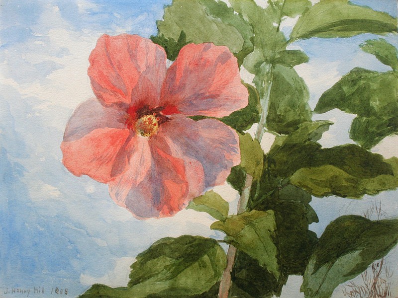 John Henry Hill, Hollyhocks, 1888
watercolor on paper, 8 7/8"" x 12""
signed and dated lower left
JCA 4864
$3,500