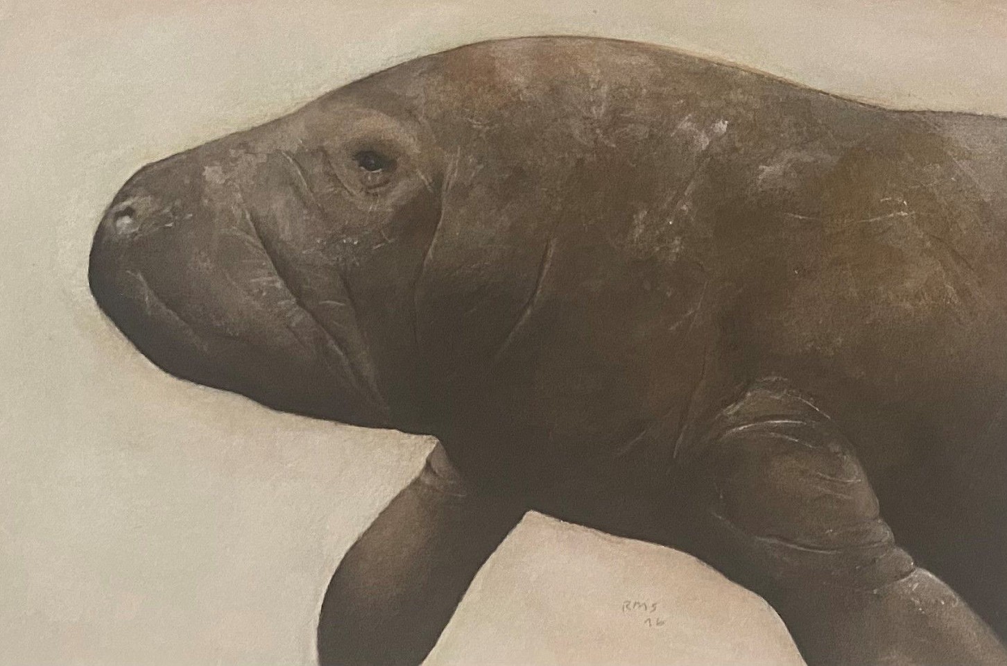 Rafael Soares, Manatee
watercolor and gouache on paper, 6"" x 9""
LD1122.05
$2,500
