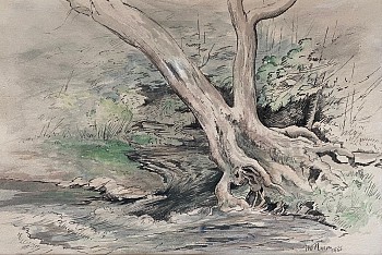 prints/drawings: Thomas Willoughby Nason By the Brook