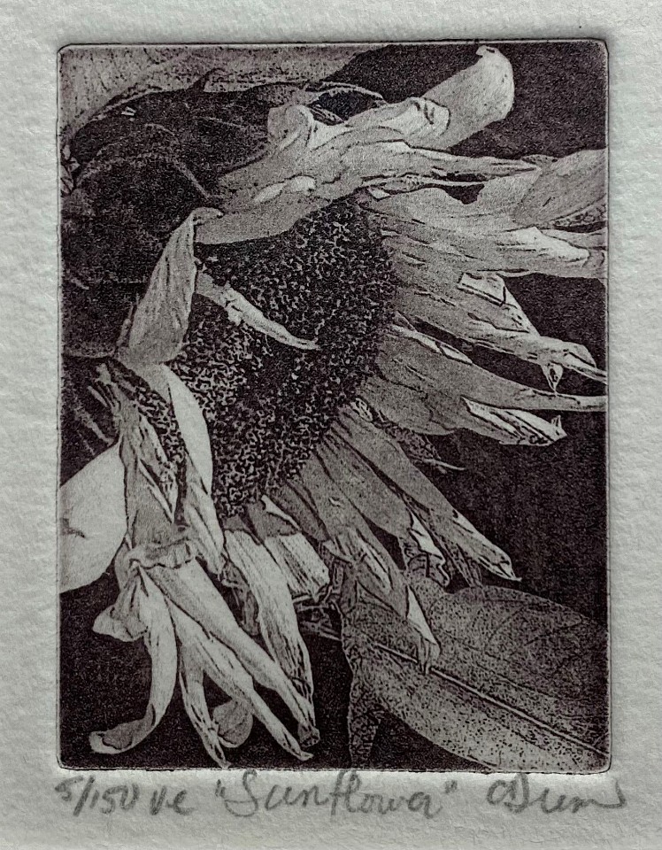 Carol Dunn, Sunflower
Photopolymer intaglio, 2 1/4"" x 1 5/8""
JCA 5968
$285