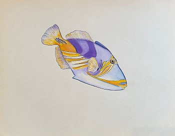 A highly realistic portrait of a trigger fish.