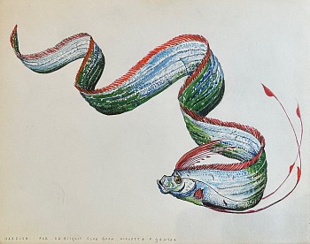 A highly realistic watercolor of an eel.