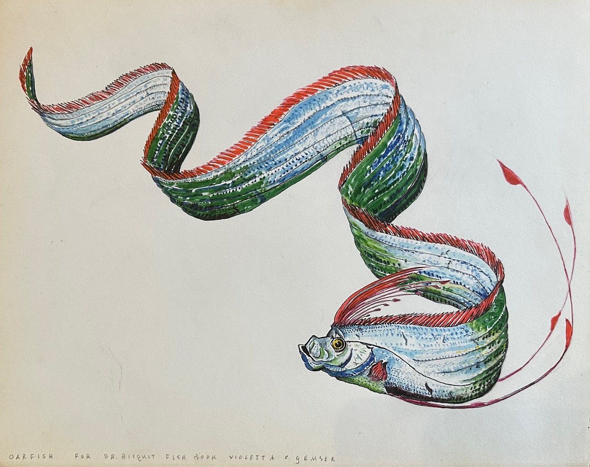 Violetta Glemser, Oarfish
watercolor on paper, 10 1/2"" x 13 1/2""
SD 1123.02
$950