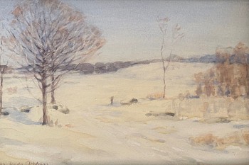 Snowy landscape lit with soft winter light.