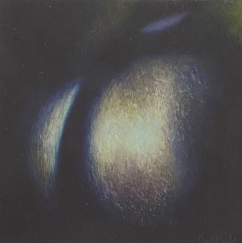 A pastel of a detail of a plum.