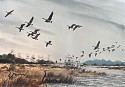 David Hagerbaumer, Flying Geese
1957, watercolor on paper