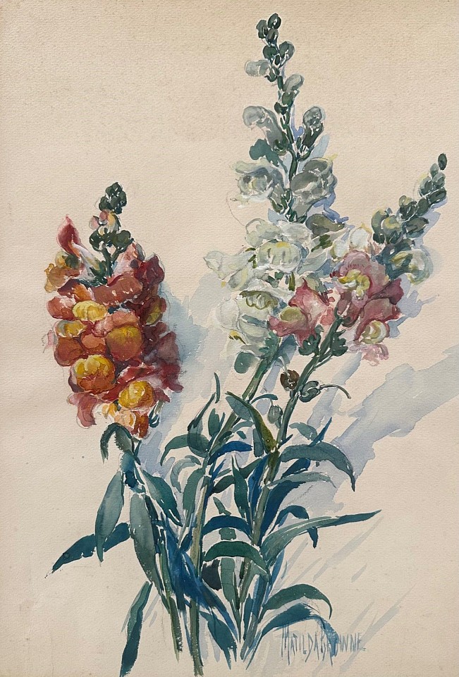 Matilda Browne, Snap Dragons II
watercolor on paper, 16 3/4"" x 11 3/4""
JCA 6751.02
$3,500