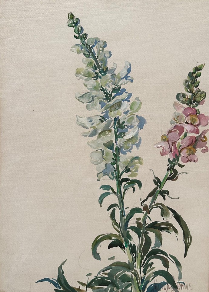 Matilda Browne, Snap Dragons I
watercolor on paper, 16"" x 11 1/2""
JCA 6751.01
$3,500