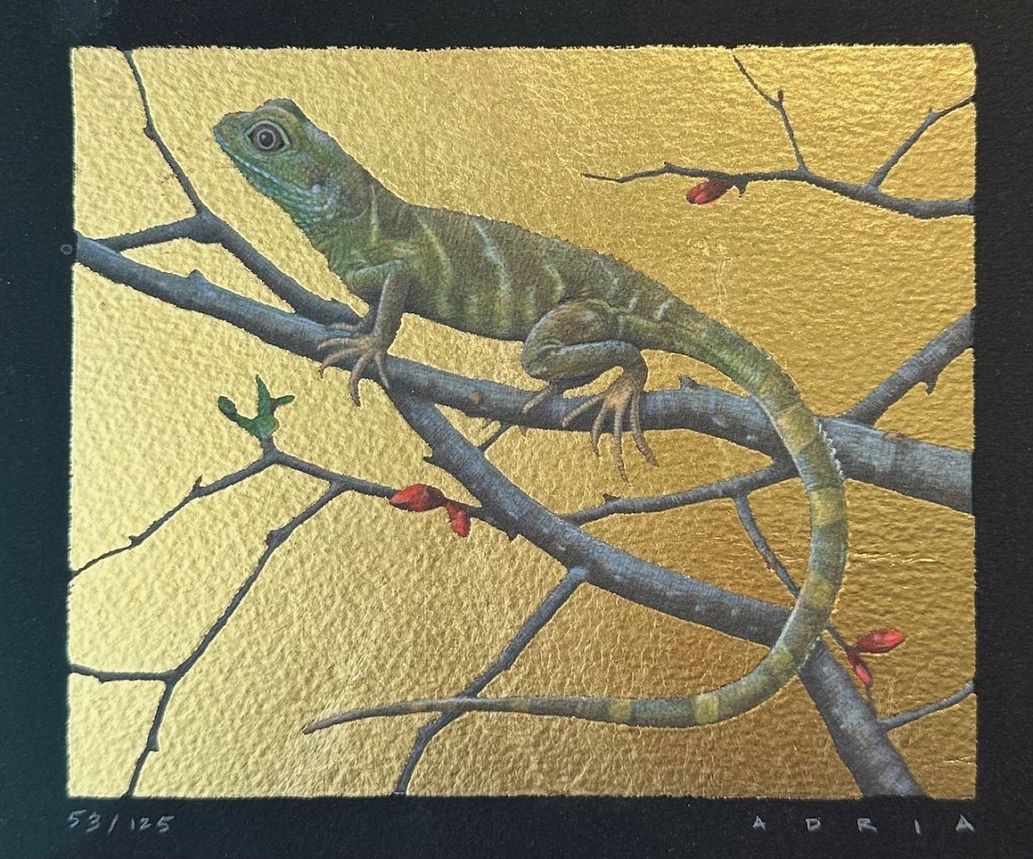 Adria Peterson, Lizard
lithographic print and gold leaf, 4 1/2"" x 5 1/2""
JWC 1124.23
$425