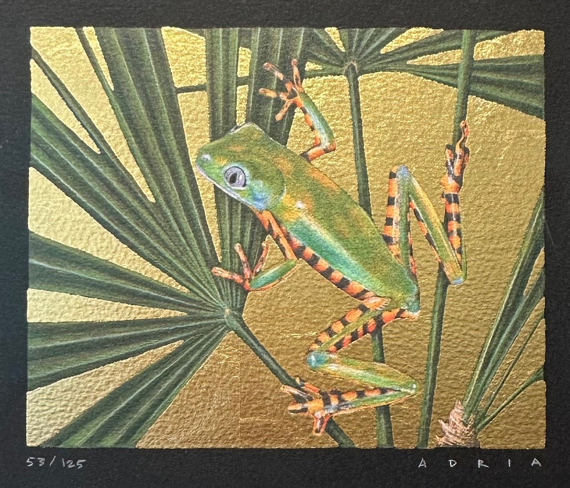 Adria Peterson, Tree Frog
lithographic prints with hand applied gold leaf, 4 1/2"" x 5 1/2""
JWC 1124.22
$425