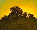 William Shattuck, Hilltop, Summer Morning
oil on panel