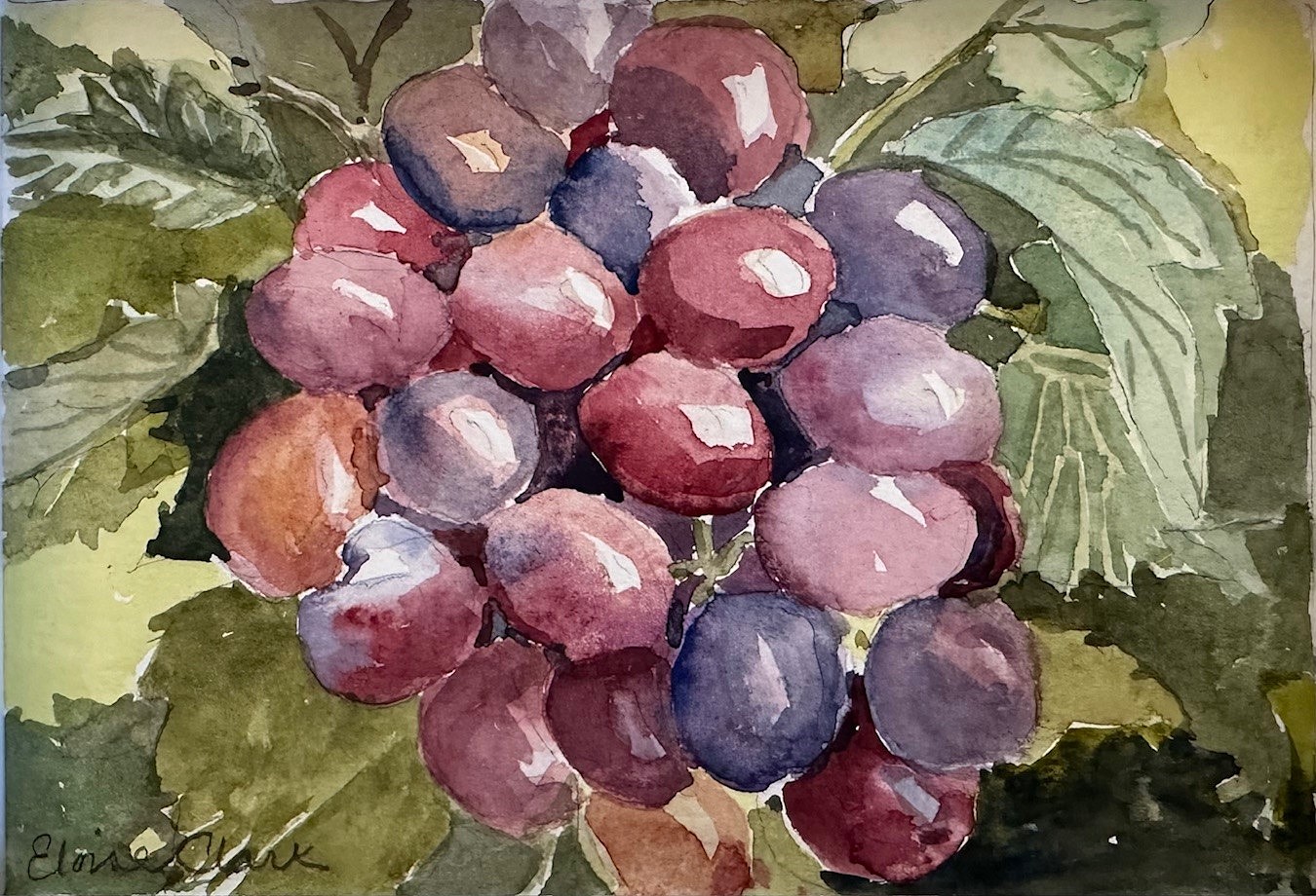 Eloise Clark, Grapes
watercolor, 4 1/2"" x 6 1/2""
EC 1124.04
$650