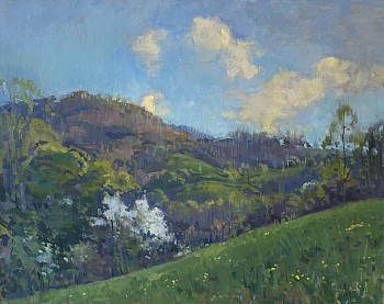 Peggy N. Root - Springtime Hills