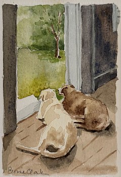 women artists: Eloise Clark Morning Light