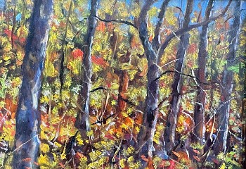 Willard Lustenader -&nbsp;Studio Garden