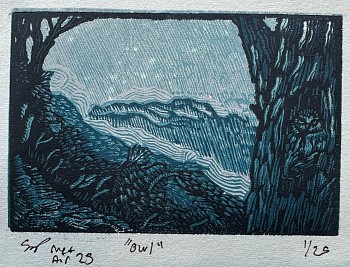 prints/drawings: Samuel Swap Owl