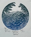 Samuel Swap, Spotted Turtle
woodblock print