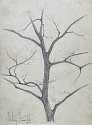 Bertram G. Bruestle, Tree Study I & II
pencil