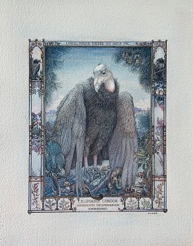 Heidi Holder -&nbsp;California Condor