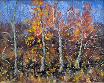 Willard Lustenader -&nbsp;Messerschmidt Pond 3