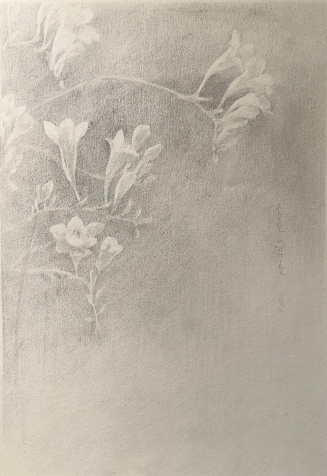 Alice Sohier, Fresia, 1954
pencil on paper, 12"" x 8""
JWC 0824.01
$950