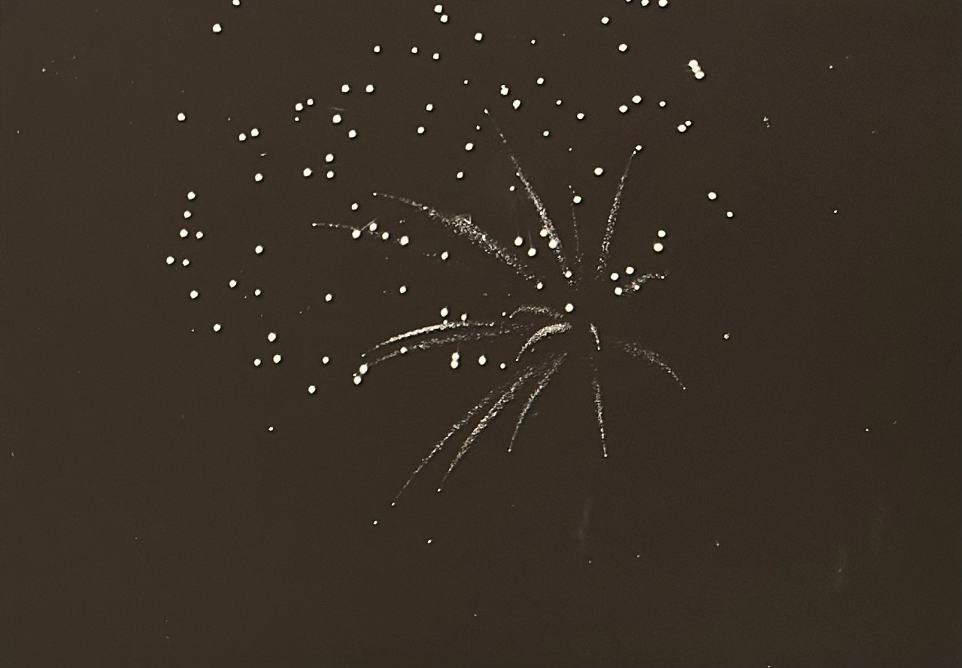 Peter Harron, Fireworks Star
gelatin silver print, * 1/2"" x 12 1/2""
PH 0826.02
$450