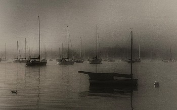 Peter Harron -&nbsp;Essex Harbor