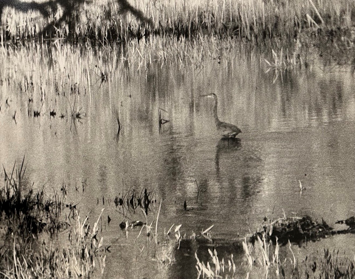 Peter Harron, The Heron
gelatin silver print, 15"" x 19""
PH 0826.11
$1,000