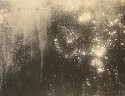 Peter Harron, Morning Light
gelatin silver print