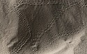 Peter Harron, Beetle Tracks
gelatin silver print