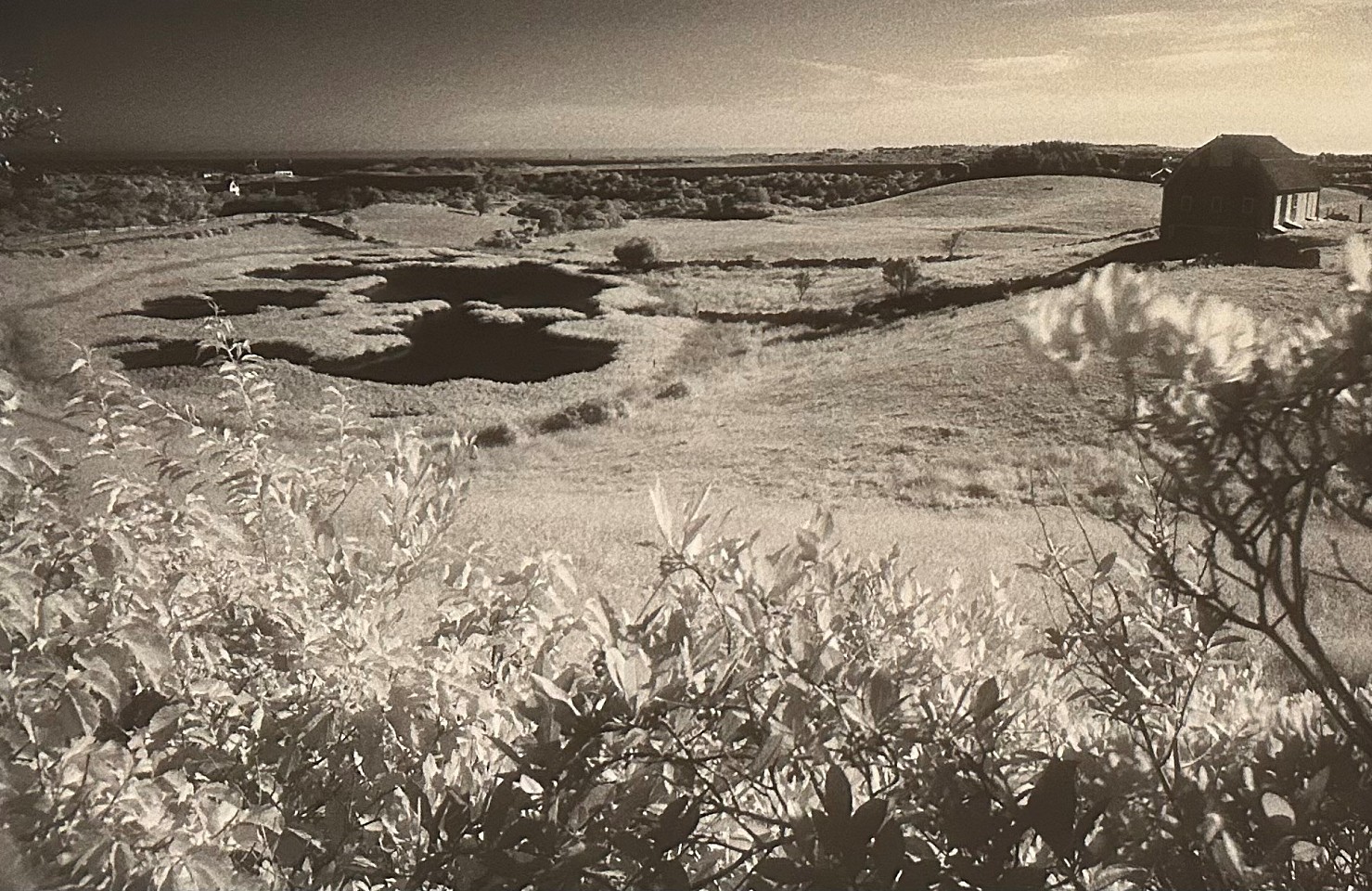 Peter Harron, Block Island
silver gelatin print, 12"" x 19""
PH 0826.33
$1,000